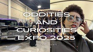 ⋆Oddities and Curiosities Expo 2025⋆| vlog, small haul, art, jewelry