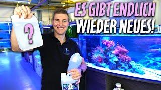 Keinen zu niedrigen PH-Wert mehr?! - Primary Close - PlanktonPlus Aquaristik