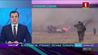 Мощнейшие лесные пожары в России: за сутки площадь возгорания выросла почти на 18 000 га