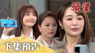 願望 EP246 預告｜為了偷情害死妹妹！？雅萱大膽威脅廷恩 意外害阿曼達墜樓！多前案件被重啟 靜雯殺人案真相竟是？｜【PP石墨烯塑崩打卡褲】