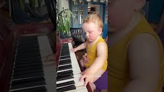 Baby pianist Gavriil is trying to play boogie woogie