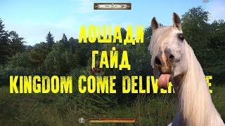 Гайд. Лошади. Kingdom Come Deliverance