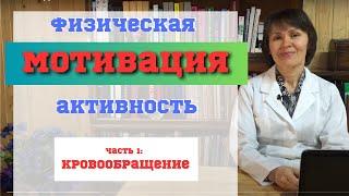 Мотивация для физической активности. Часть1- Кровообращение