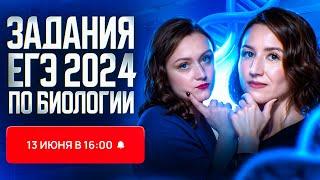 Что было на ЕГЭ-2024 по биологии: разбор ВСЕХ заданий | ЕГЭ-2025 по биологии