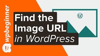 How to Get the URL of Images You Upload in WordPress