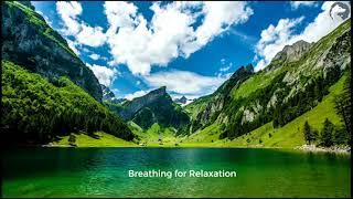 Breathing for Relaxation - Wolf Academy