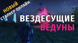 3. Вездесущие ведуны. Новый Сталкер Онлайн, СПБ сервер.