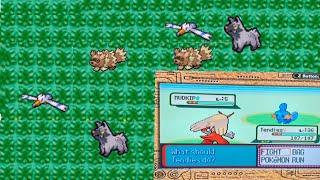 Can You Get A Fully Evolved Starter Pokemon Before The First Rival Battle