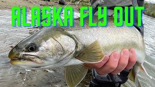 ALASKA FLY OUT - arctic char (fly fishing)