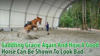 Saddling Gracie Again And Showing How A Bad Horse Trainer Can Make A Good Horse Look Bad