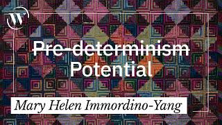 Human development has 5 key principles – here’s why they matter | Mary Helen Immordino-Yang