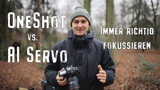 OneShot vs. AI Servo - Immer richtig fokussieren / Fotografie Tipps