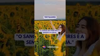 Sabedoria Diária | Pensadores #shorts #reflexões #proverbios