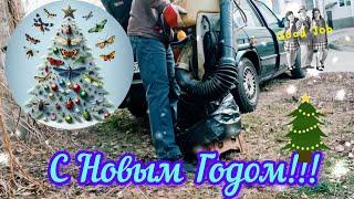 С Новым, 2024, годом!!! От Ваш Фітопатолог.