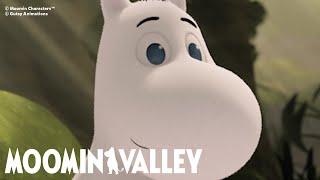 The curiosities of Moomintroll | Moominvalley compilation