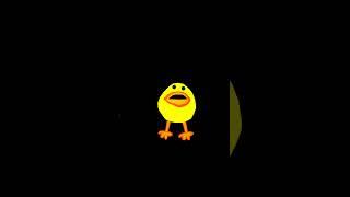 Effects Video