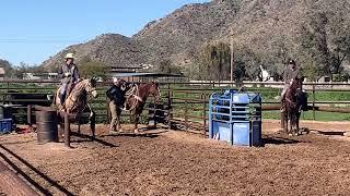 The Rope Horse Sale Hip #17 Gayla Raysin The Bar “Raisin”