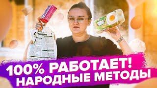 ТАБАЧНАЯ ПЫЛЬ, ЧАЙНАЯ ЗАВАРКА и КОНТЕЙНЕРЫ для ЯИЦ: топ народных методов