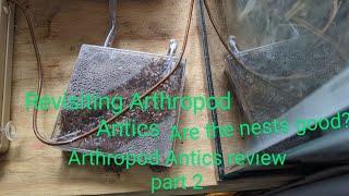 Revisiting Arthropod Antics nests ( AA nest review part 2)