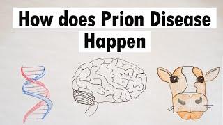 Prion Disease | How does Prion Disease Happen