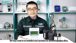 Q&T Instrument Module Type Ultrasonic Flow Meter Introduction