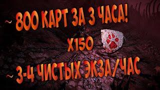 Упоротый "фарм" почти без вложений! 150 карт логова стаи(Caer Blaidd T14). ~3-4 чистых экза в час!