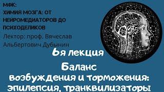 Лекция 6 Вячеслав Дубынин «ХИМИЯ» МОЗГА  ОТ НЕЙРОМЕДИАТОРОВ ДО ПСИХОДЕЛИКОВ Баланс возбуждения и тор