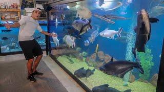 WORLDS LARGEST INDOOR HOME AQUARIUM!!!