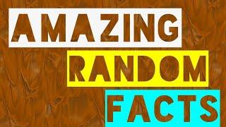 Amazing Random Facts you should must know | Random Facts | The FactSly