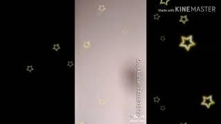 PRAVEEN BISHNOI SIWADA 7742301991(22)