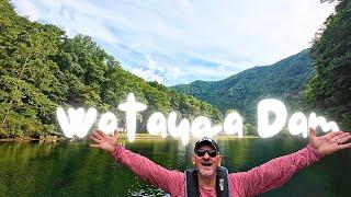 We paddled by a bear | Camping at Watauga Dam Campground