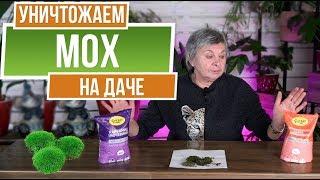 Как НАВСЕГДА убрать Мох на даче ️ Советы от Garden-zoo