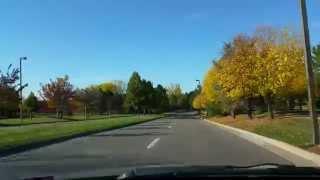 10/19/2014 - Driving Past Trees in Autumn