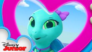 Sandy The Sea Turtle | Calling All T.O.T.S. | T.O.T.S. | @disneyjr