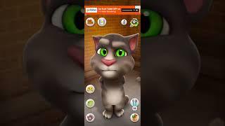 new Bilal ka new cat 
