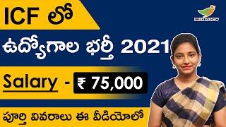 ICF Recruitment 2021 in Telugu | Salary ₹ 75,000 | Notification for 39 Posts |Central Govt Jobs 2021