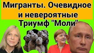 А Кремля не заметили: Меркель жалуется Путину на Лукашенко,  Германия и "оппозиция" в восторге