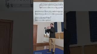 Pictures at an Exhibition - Trumpet Excertpts - Daniel Leal Trumpet