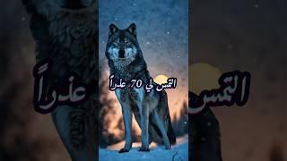 حكم وأقوال ملهمه عن واقع الحياة #حياة#حكم#أقوال#shorts#إلهام#تحفيز#نصائح_حياتية