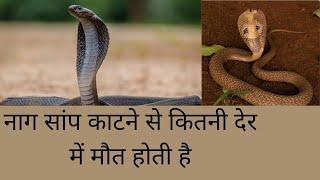 नाग सांप काटने से कितने देर में मौत होती है, #Cobra, #Snakebite