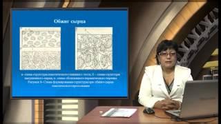 Видеолекция Технология кирпича полусухого прессования