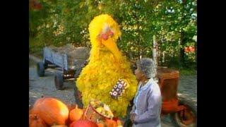 Sesame Street: 1615 Street Scenes- Visiting Grandma Grace's farm