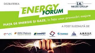 Energy Forum - Liberalizarea pieței de gaze și energie electrică: costuri vs beneficii