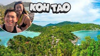 Bangkok to Koh Tao! How to Get Around Koh Tao | John Suwan Viewpoint & Freedom Beach | Thailand Vlog