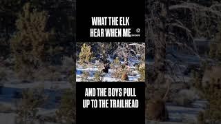 What the elk hear when me and the boys roll up to the trailhead? ￼