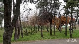 Осенний парк Кременчуга. Autumn Park of Kremenchug.