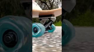 Anna Oswald SHARK WHEEL Carve Life Surfskate