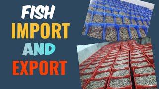 FISH IMPORT EXPORT BUSINESS//FISH IMPORT EXPORT IN INDIA//