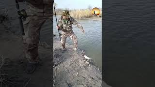 Балиқ ови | Январни 1чи котта сазани #Fishing #Рыбалка #сазан #carpfishing #Baliq ovi