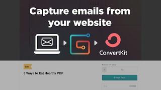 How to capture e-mail addresses from your website // E-mail lead generation